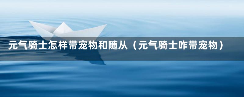 元气骑士怎样带宠物和随从（元气骑士咋带宠物）