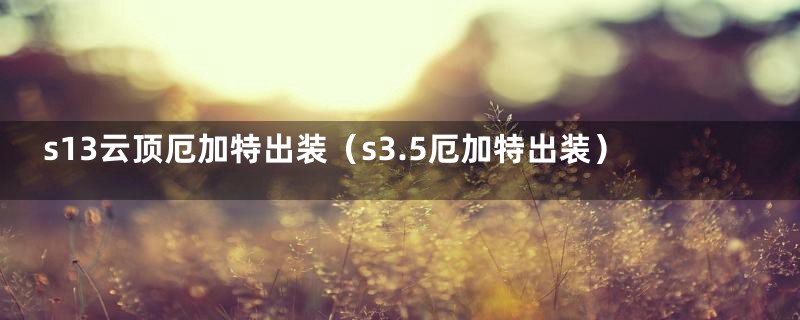 s13云顶厄加特出装（s3.5厄加特出装）