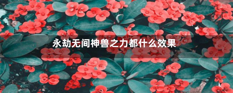 永劫无间神兽之力都什么效果