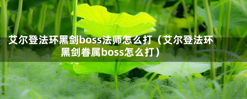 艾尔登法环黑剑boss法师怎么打（艾尔登法环黑剑眷属boss怎么打）