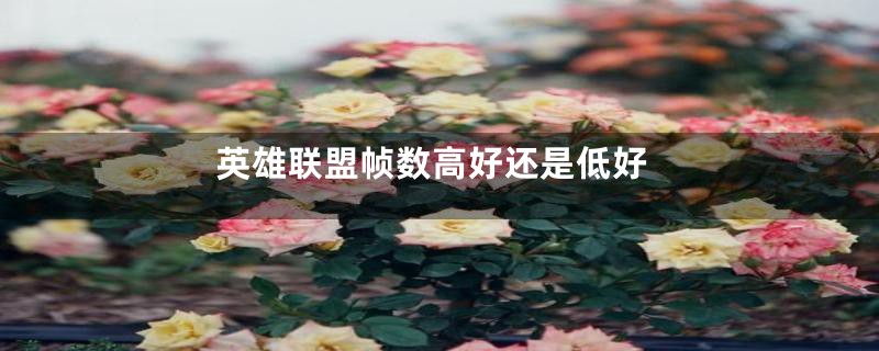 英雄联盟帧数高好还是低好