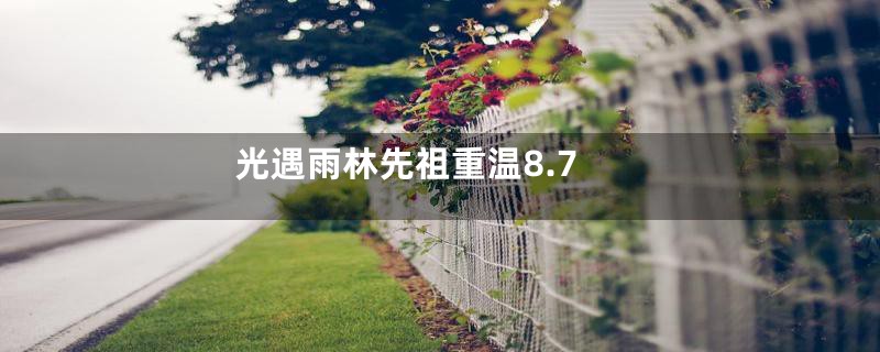 光遇雨林先祖重温8.7