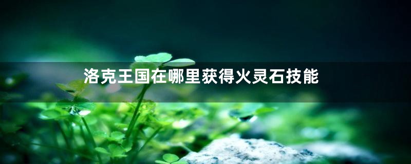 洛克王国在哪里获得火灵石技能