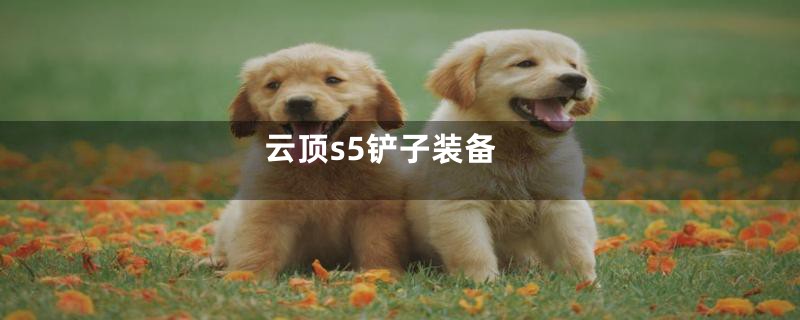 云顶s5铲子装备