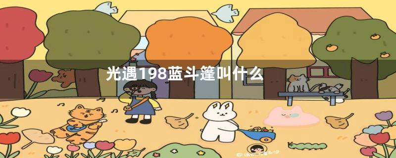 光遇198蓝斗篷叫什么