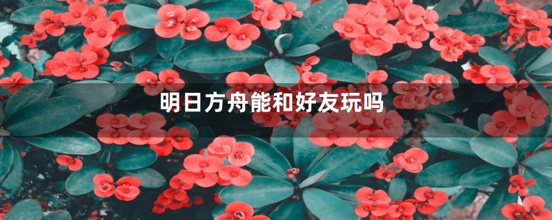 明日方舟能和好友玩吗