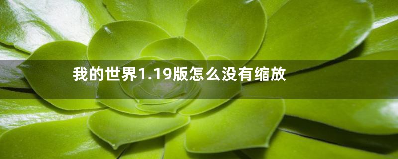 我的世界1.19版怎么没有缩放