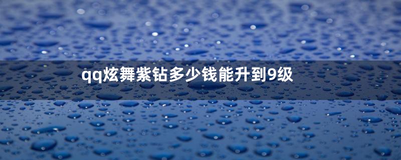 qq炫舞紫钻多少钱能升到9级