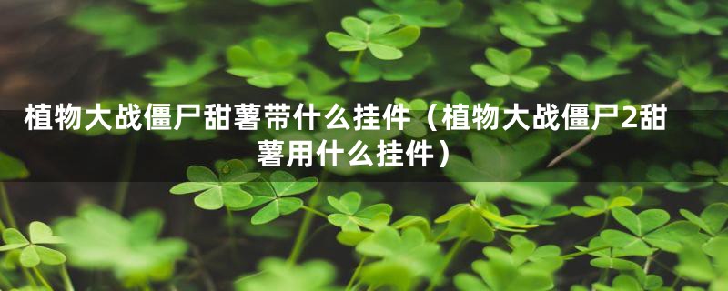 植物大战僵尸甜薯带什么挂件（植物大战僵尸2甜薯用什么挂件）