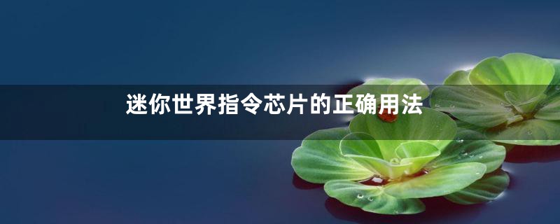 迷你世界指令芯片的正确用法