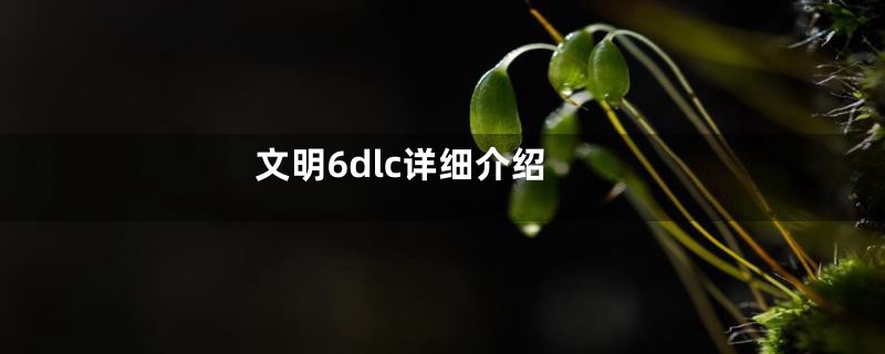 文明6dlc详细介绍