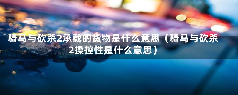 骑马与砍杀2承载的货物是什么意思（骑马与砍杀2操控性是什么意思）