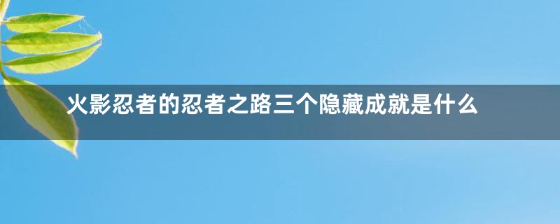 火影忍者的忍者之路三个隐藏成就是什么