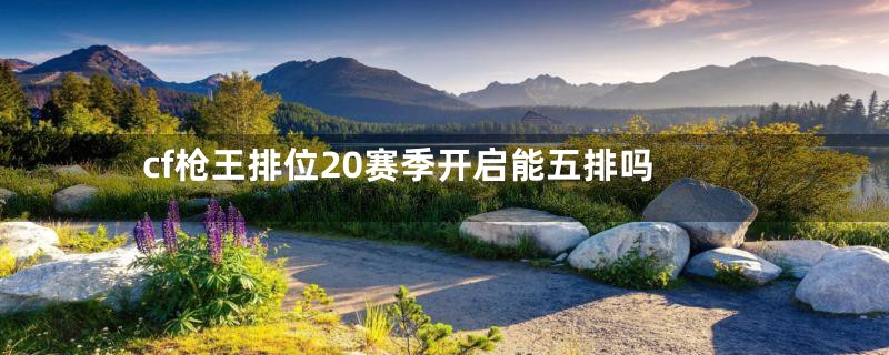 cf枪王排位20赛季开启能五排吗