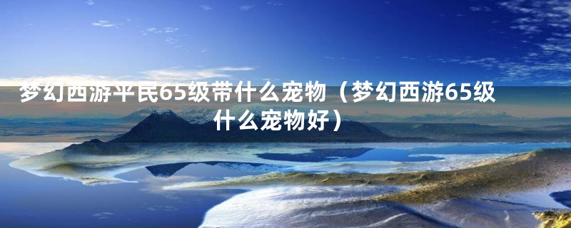 梦幻西游平民65级带什么宠物（梦幻西游65级什么宠物好）