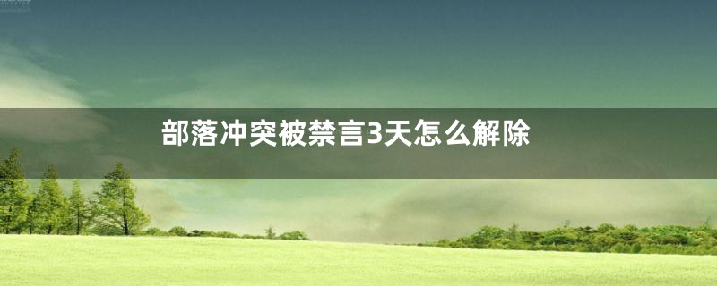 部落冲突被禁言3天怎么解除