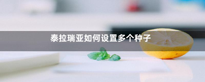 泰拉瑞亚如何设置多个种子