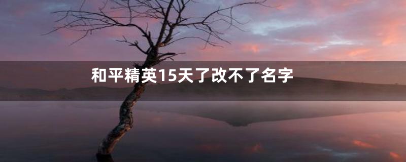 和平精英15天了改不了名字