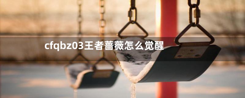 cfqbz03王者蔷薇怎么觉醒