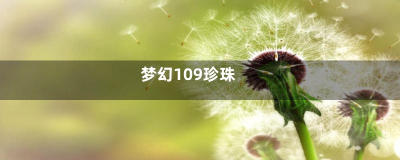 梦幻109珍珠