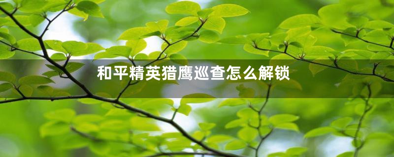 和平精英猎鹰巡查怎么解锁