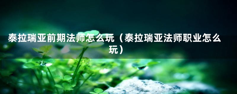 泰拉瑞亚前期法师怎么玩（泰拉瑞亚法师职业怎么玩）