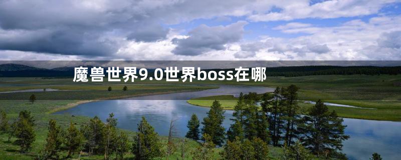 魔兽世界9.0世界boss在哪