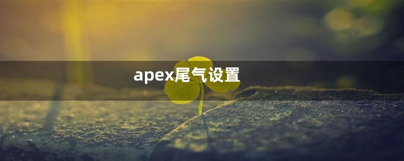 apex尾气设置