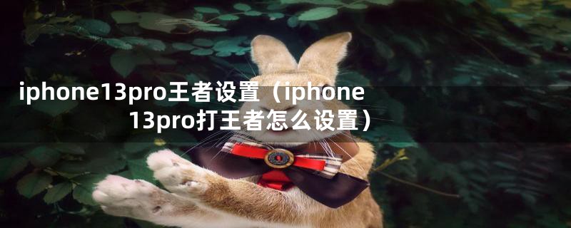 iphone13pro王者设置（iphone13pro打王者怎么设置）