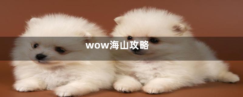 wow海山攻略