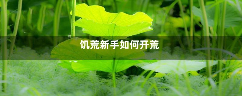 饥荒新手如何开荒