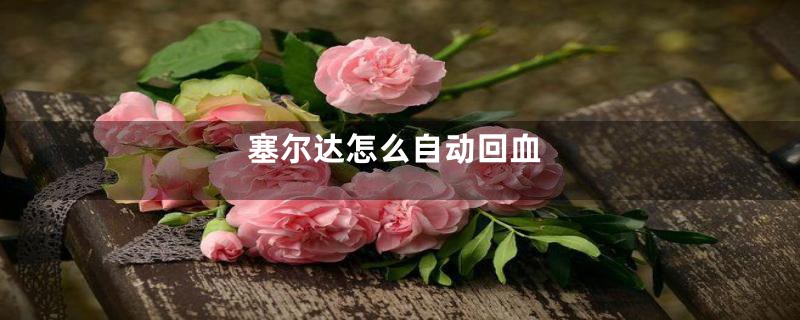 塞尔达怎么自动回血