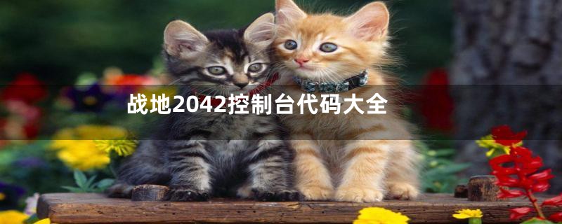 战地2042控制台代码大全