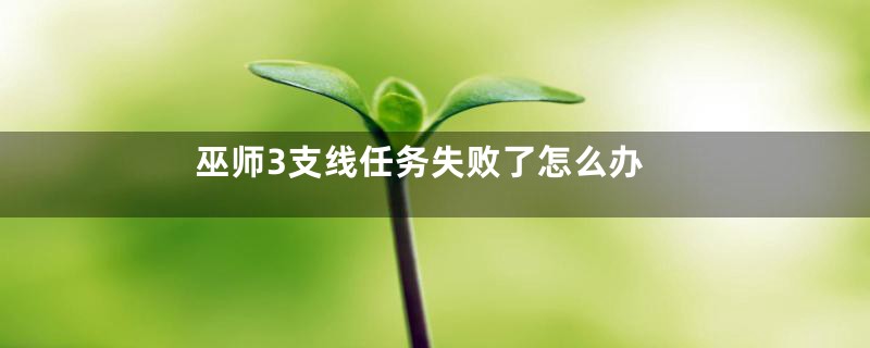 巫师3支线任务失败了怎么办