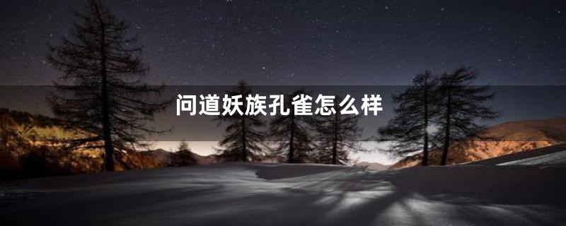 问道妖族孔雀怎么样