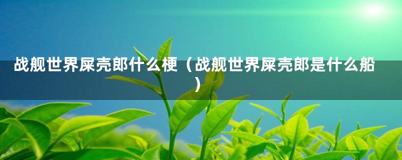 战舰世界屎壳郎什么梗（战舰世界屎壳郎是什么船）