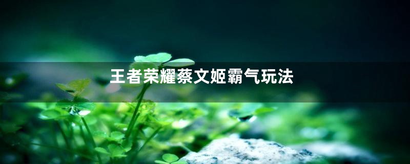 王者荣耀蔡文姬霸气玩法