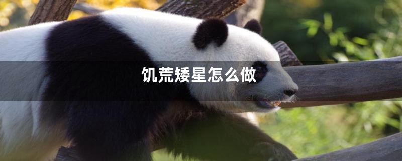 饥荒矮星怎么做