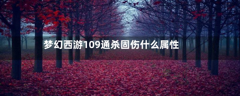 梦幻西游109通杀固伤什么属性