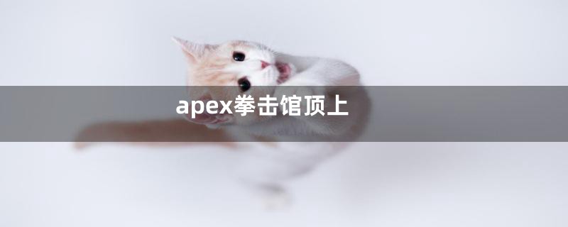 apex拳击馆顶上