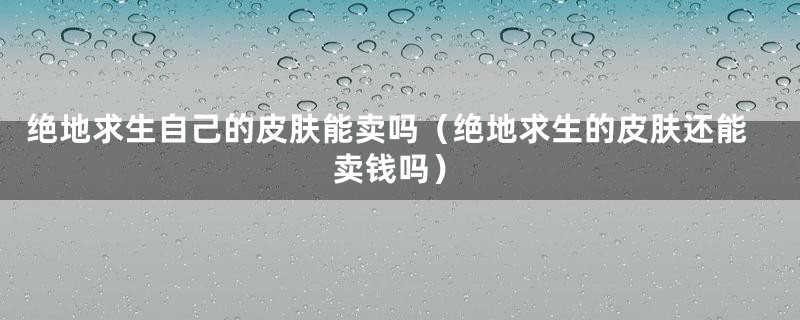 绝地求生自己的皮肤能卖吗（绝地求生的皮肤还能卖钱吗）