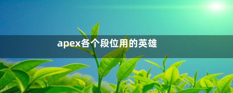 apex各个段位用的英雄