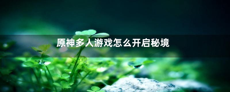 原神多人游戏怎么开启秘境