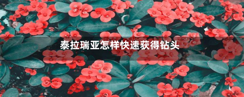 泰拉瑞亚怎样快速获得钻头