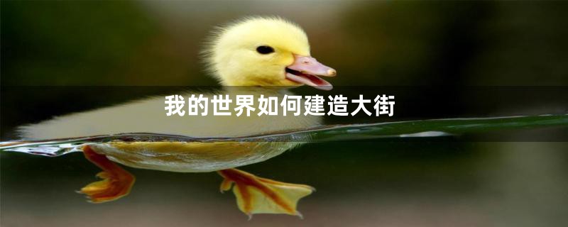 我的世界如何建造大街