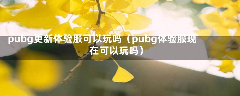 pubg更新体验服可以玩吗（pubg体验服现在可以玩吗）