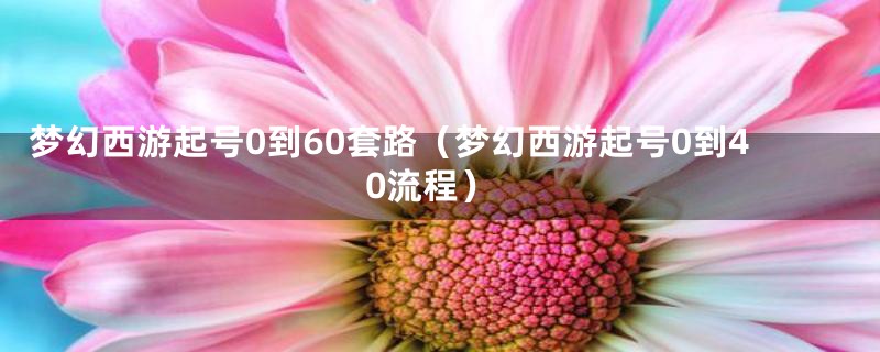 梦幻西游起号0到60套路（梦幻西游起号0到40流程）