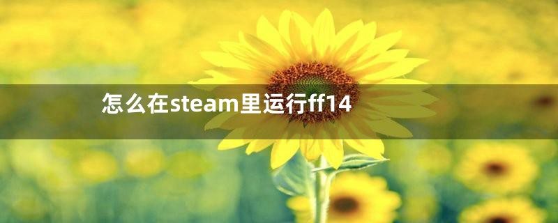 怎么在steam里运行ff14