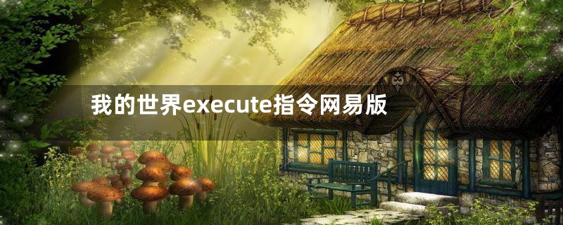 我的世界execute指令网易版