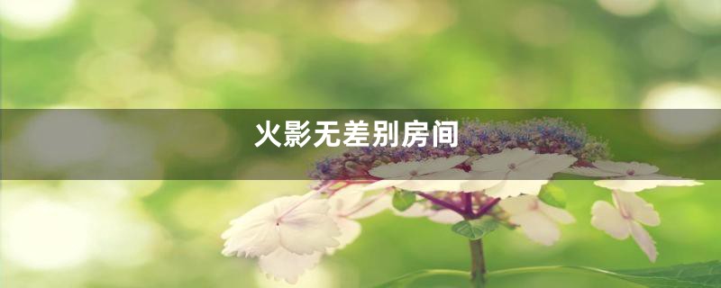 火影无差别房间